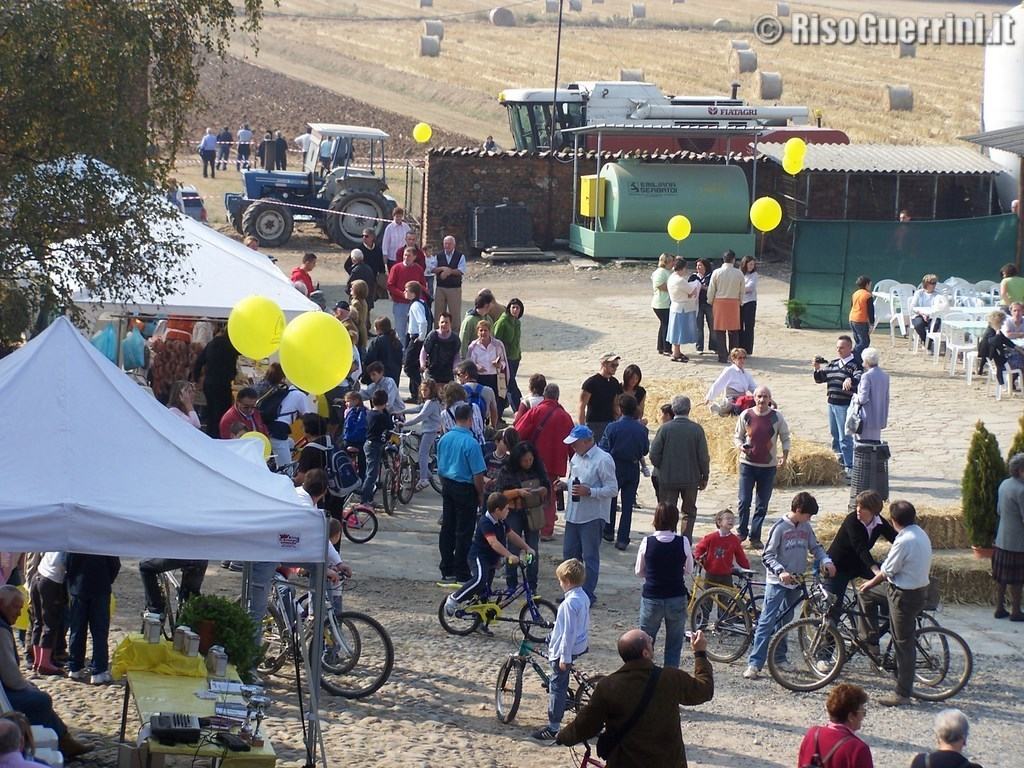 festa del riso vista aerea