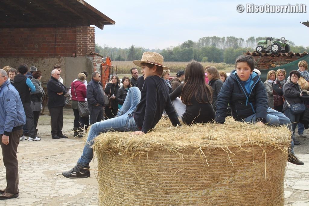 festa del riso scorcio 2