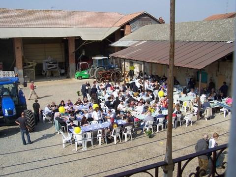 festa del riso vista aerea2