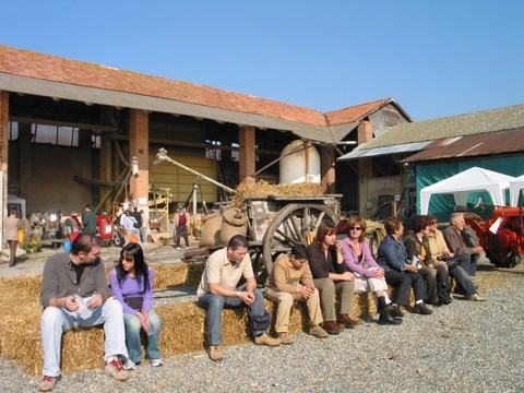festa del riso - pranzo su aia