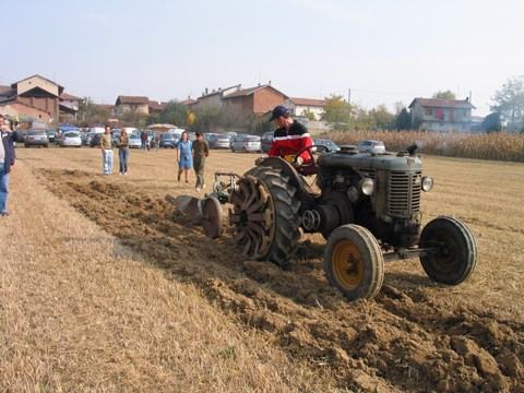 festa del riso aratura epoca