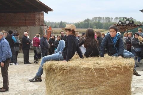 festa del riso scorcio 2