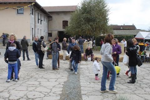 festa del riso nuovo raccolto