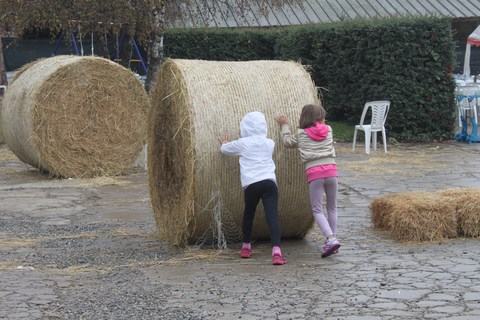 festa del riso scorcio 6